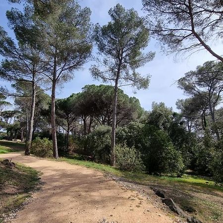 Chez K&D Studio Nature Avec Piscine St Raphael Saint-Raphaël Екстериор снимка